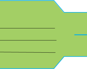 NAME THEATRE PROBLEM - 60 x 240mm, GREEN POLY, 500 tags per roll matte finish