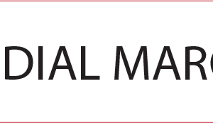 MEDIAL MARGIN - 40 x 12, PAPER, Black print on White Label, 800 per roll