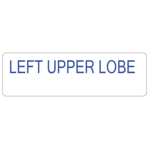 LEFT UPPER LOBE, 40 x 12, PAPER, Blue print on White Label, 800 per roll