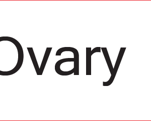 Ovary - 40 x 12, PAPER, Black print on White Label, 800 per roll