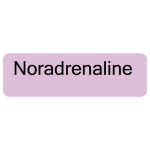 Noradrenaline - 40 x 12, PAPER, Black print on Violet Label, 800 per roll
