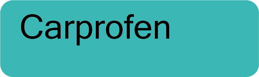Carprofen- 40 x 12, PAPER, Black print on Teal Label, 800 per roll