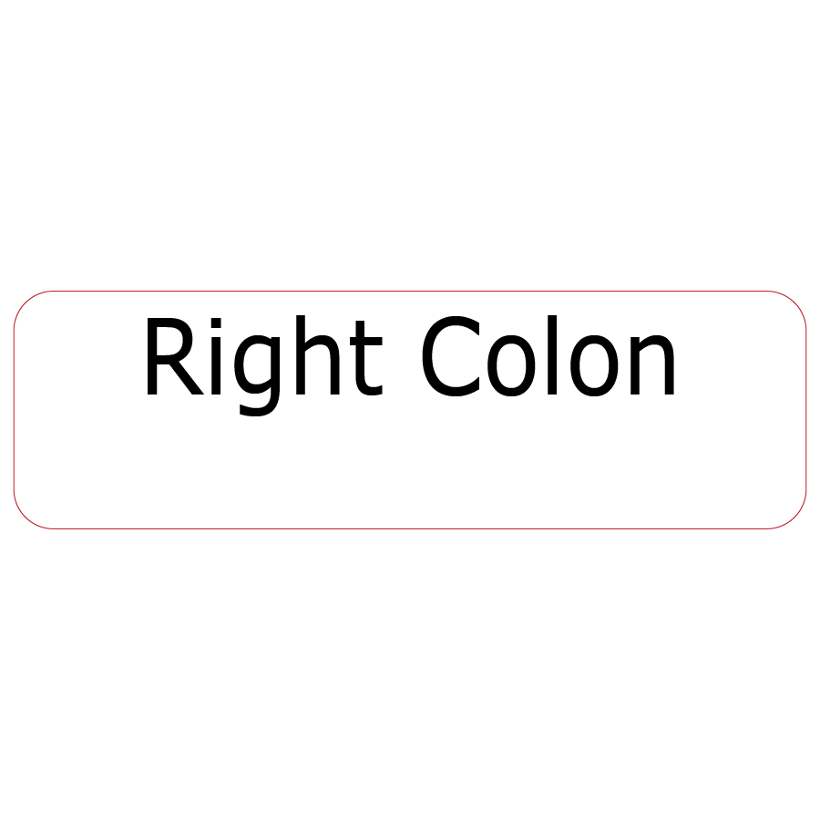 Right Colon, 40 x 12, PAPER, Black print on White Label, 800 per roll
