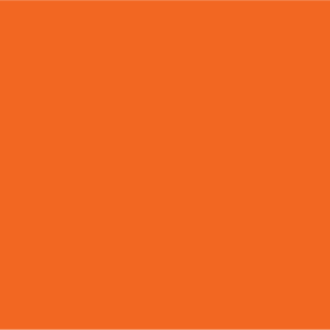 BLANK ORANGE - 50 x 90, hole punched, 100 per packet with ties