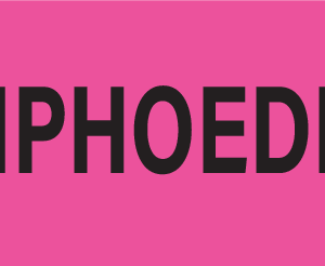 LYMPHOEDEMA - Upper Case - Fluoro Pink - 40 x 12mm - 800 per roll