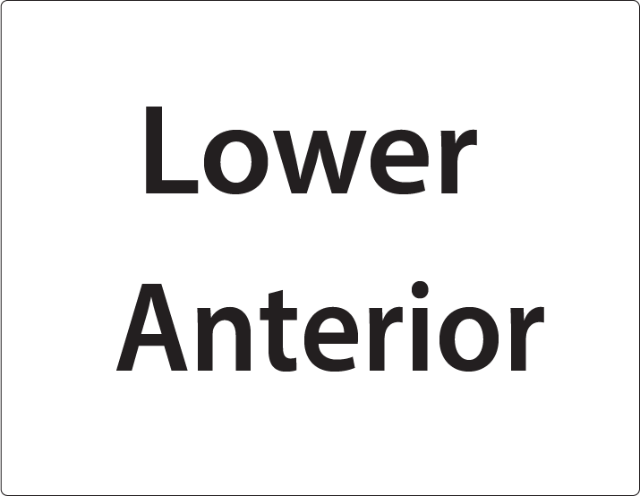 Lower Anterior -27mm x 36mm Black Print on White Label, 400 per roll