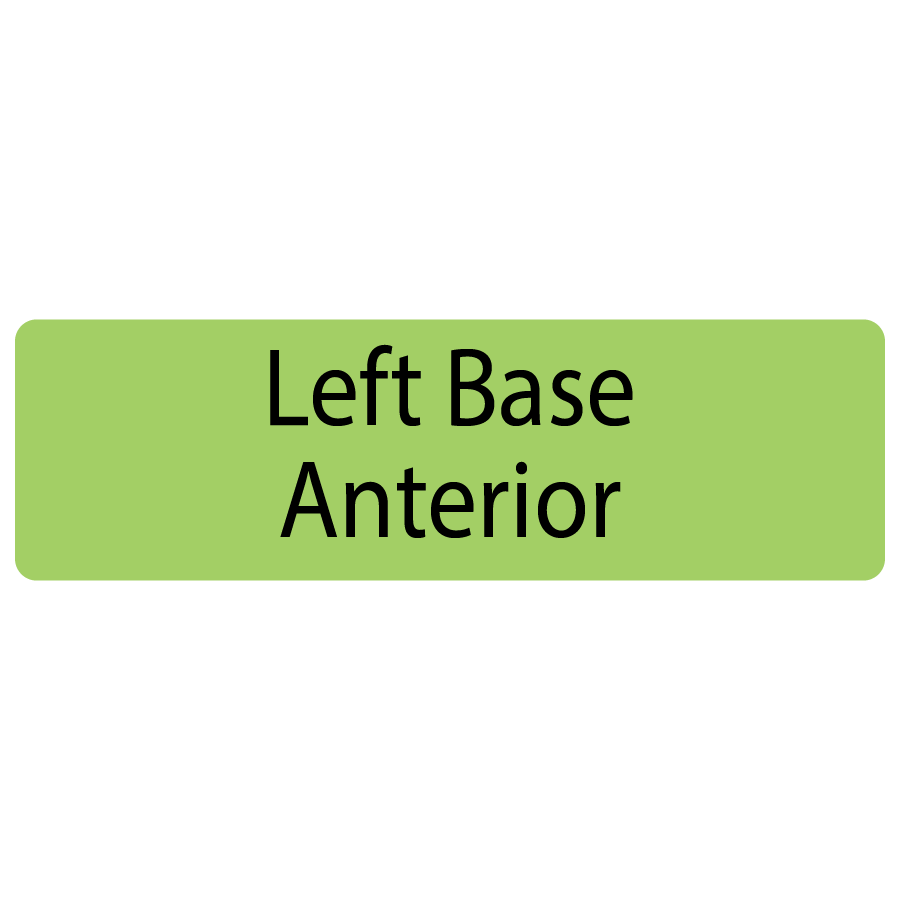 Left Base Anterior, 40 x 12, PAPER, Black print on Green Label, 800 per roll