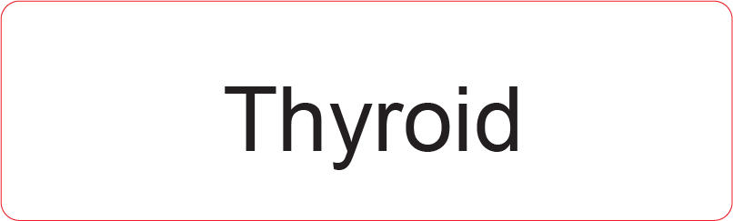 Thyroid - 40 x 12, PAPER, Black print on White Label, 800 per roll