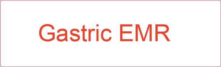 Gastric EMR- 40 x 12, PAPER, Red print on White Label, 800 per roll