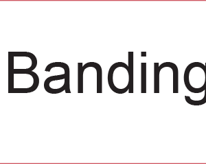 DB Banding Set - 40 x 12, PAPER, Black print on White Label, 800 per roll