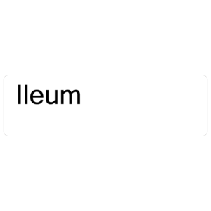 Ileum - 40 x 12, PAPER, Black print on White Label, 800 per roll
