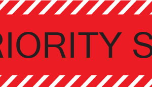 PRIORITY SET, 40 x 12, PAPER, Black print on Red/White Diag Stripes, 800 per roll