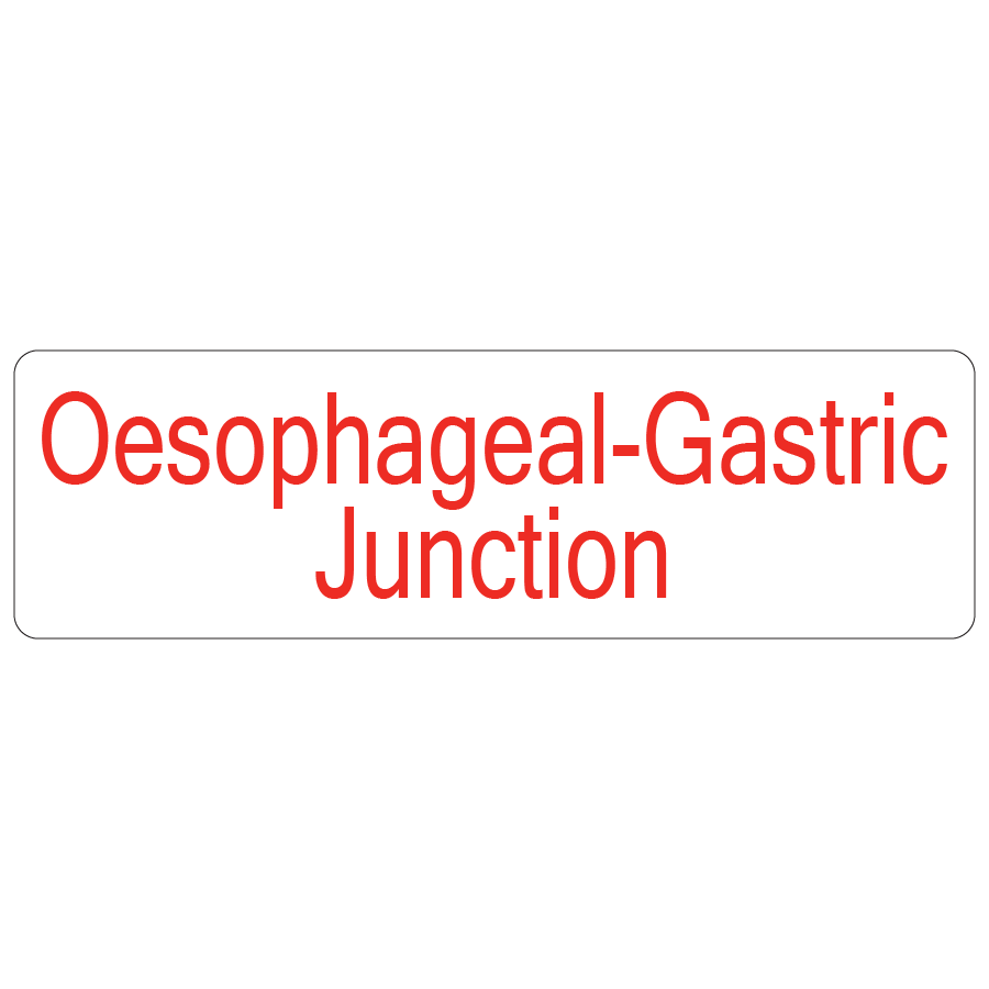 Oesophageal Gastric Junction - 40 x 12, PAPER, Red print on White Label, 800 per roll