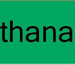 Euthanasia - 40 x 12 PAPER, Black print on Fluoro Green Label, 800 per roll