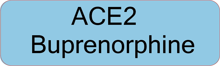 ACE2 Buprenorphine- 40 x 12, PAPER, Black print on Blue Label, 800 per roll