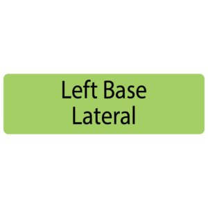 Left Base Lateral, 40 x 12, PAPER, Black print on Green Label, 800 per roll