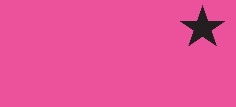 Blank Polytag ( with A Star) - 110 x 50, Black print on Pink Polytag, 100 per pack with ties