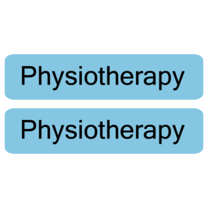 PHYSIOTHERAPY - 8 x 35, PAPER, Black Print on Blue Label, 1000 labels per roll