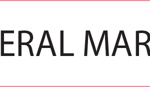 LATERAL MARGIN - 40 x 12, PAPER, Black print on White Label, 800 per roll