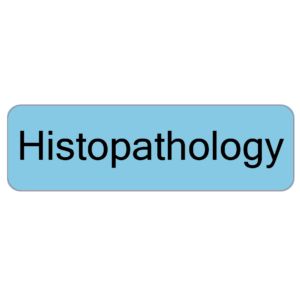 Histopathology, 40 x 12, PAPER, Black print on Blue Label, 800 per roll