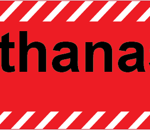 Euthanasia - 40 x 12, PAPER, Black print, White stripe on Red Label, 800 per roll