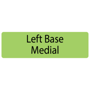 Left Base Medial, 40 x 12, PAPER, Black print on Green Label, 800 per roll