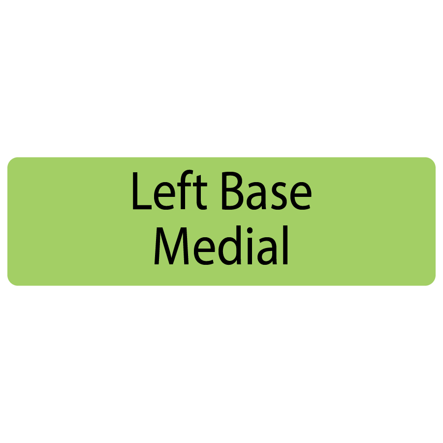 Left Base Medial, 40 x 12, PAPER, Black print on Green Label, 800 per roll