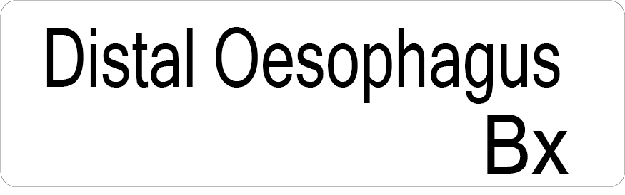 Distal Oesophagus Bx- 40 x 12, PAPER, Black print on White Label, 800 per roll
