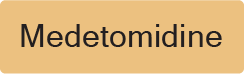 Medetomidine - 40 x 12, PAPER, Black print on Salmon Label, 800 per roll