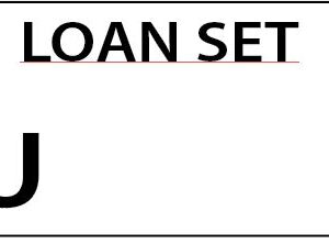 LOAN SET U - 90 x 50, Black print on White,100 per pack with ties