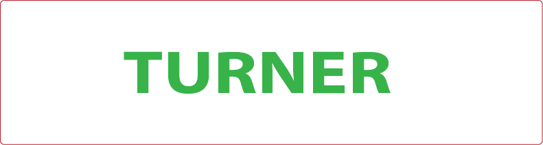 TURNER - GREEN PRINT ON WHITE, 70 X 20MM, 1000/ROLL
