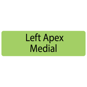 Left Apex Medial, 40 x 12, PAPER, Black print on Green Label, 800 per roll