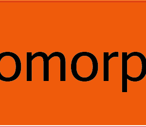 Hydromorphone - 40 x 12 , PAPER, Black print on Fluoro Orange Label, 800 per roll