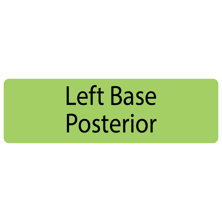 Left Base Posterior, 40 x 12, PAPER, Black print on Green Label, 800 per roll