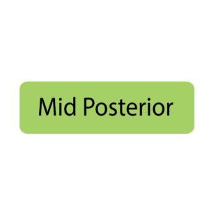 Mid Posterior- 40 x 12, PAPER, Black print on Green Label, 800 per roll