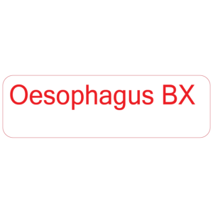 Oesophagus BX - 40 x 12, PAPER, Red print on White Label. 800 per roll