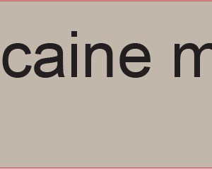 lignocaine mg/mL % - 40 x 12, PAPER, Black print on Grey Label, 800 per roll