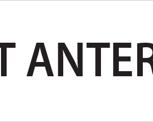LEFT ANTERIOR - 40 x 12, PAPER, Black print on White Label, 800 per roll