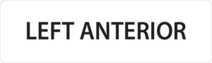 LEFT ANTERIOR – 40 x 12, PAPER, Black print on White Label, 800 per roll