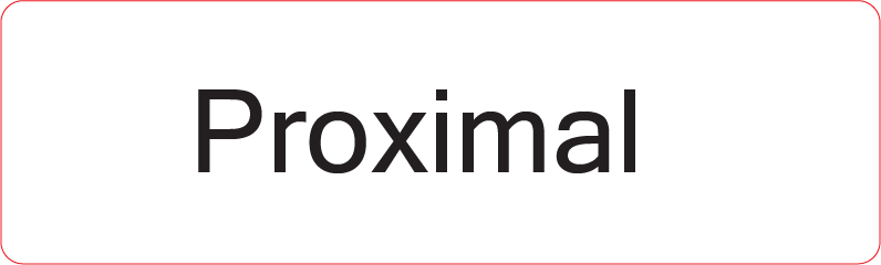 Proximal - 40 x 12, PAPER, Black print on White Label, 800 per roll