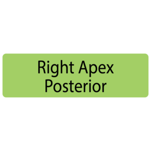 Right Apex Posterior, 40 x 12, PAPER, Black print on Green Label, 800 per roll
