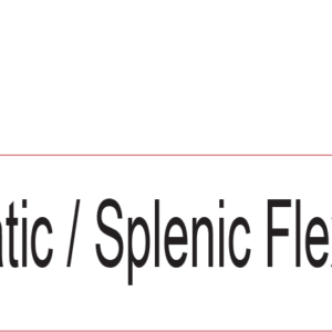 Hepatic / Splenic Flexure - 40 x 12, PAPER, Black print on White Label, 800 per roll
