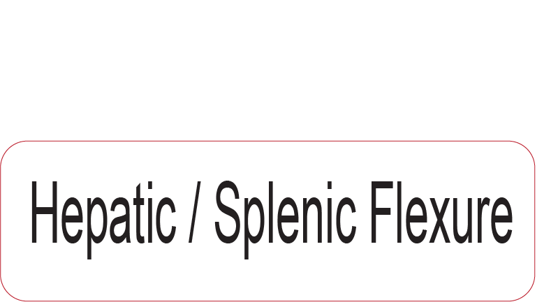 Hepatic / Splenic Flexure - 40 x 12, PAPER, Black print on White Label, 800 per roll