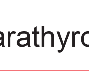 Parathyroid - 40 x 12, PAPER, Black print on White Label, 800 per roll