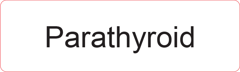 Parathyroid - 40 x 12, PAPER, Black print on White Label, 800 per roll