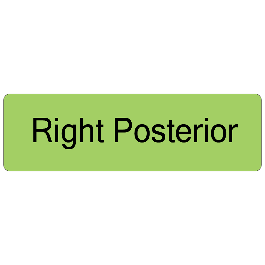Right Posterior, 40 x 12, PAPER, Black print on Green Label, 800 per roll