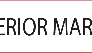 INFERIOR MARGIN - 40 x 12, PAPER, Black print on White Label, 800 per roll