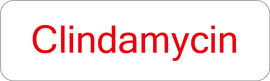 Clindamycin - 40 x 12, PAPER, Red print on White Label, 800 per roll