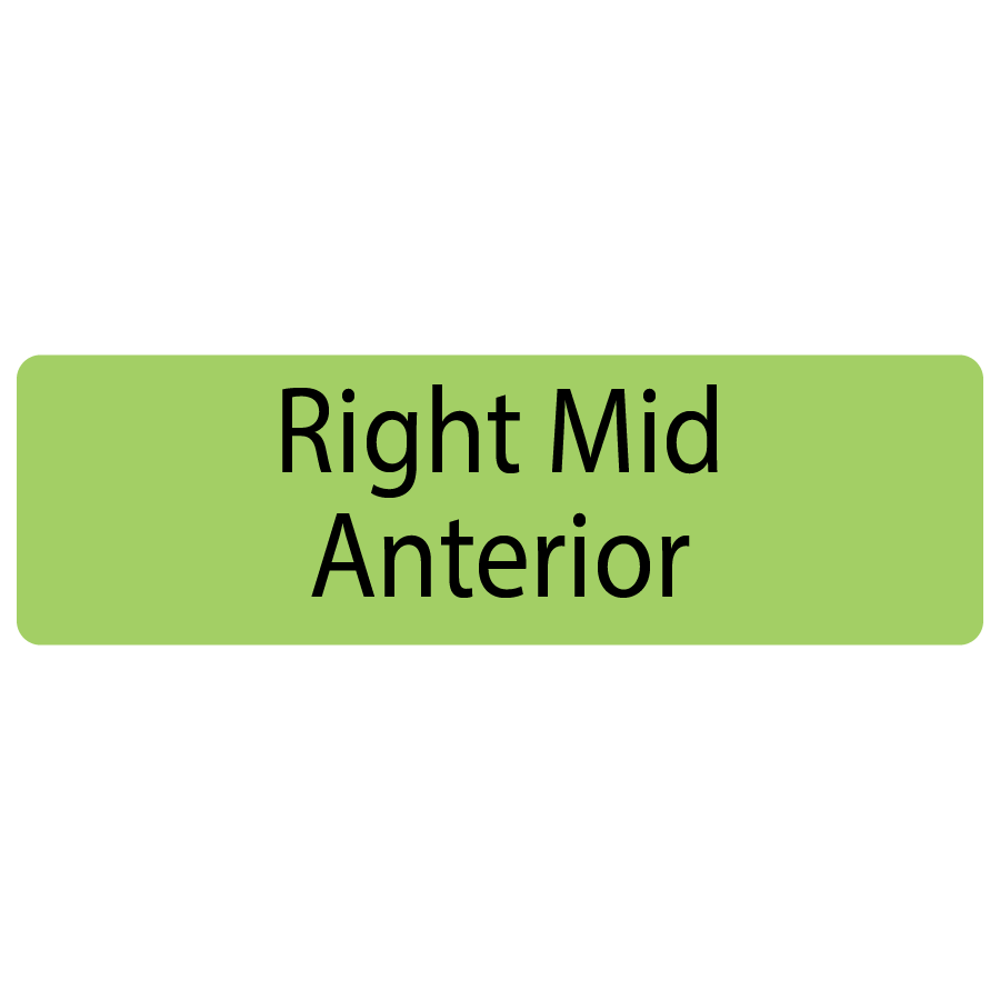 Right Mid Anterior, 40 x 12, PAPER, Black print on Green Label, 800 per roll