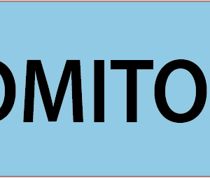 DOMITOR - 40 x 12, PAPER, Black print on Blue Label, 800 per roll